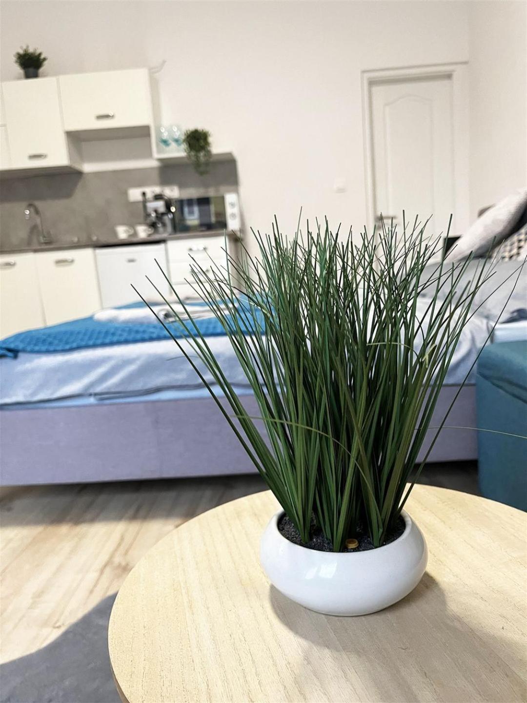 Bereg Szive Apartman Vasarosnameny Bagian luar foto